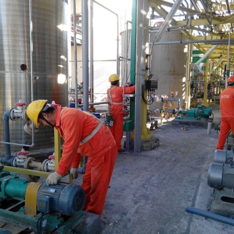 Caustic Soda Plants Caustic Soda Plants