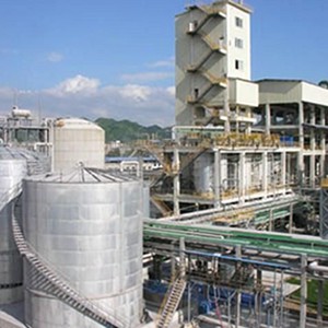 Planta de sulfato de potasio Dónde comprar